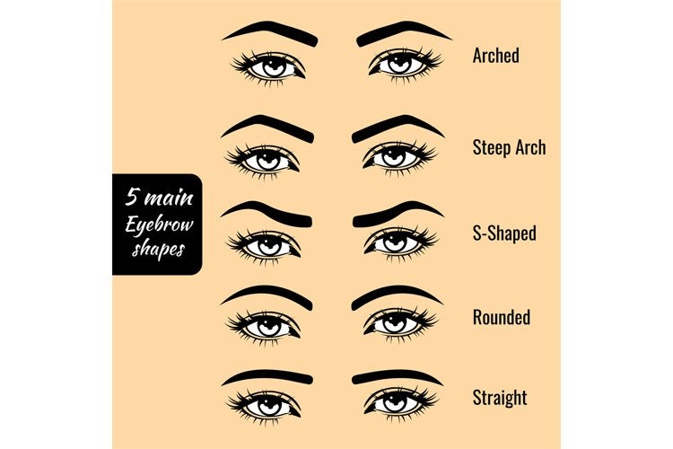 5 Eyebrow Shapes and How to Pick the Right One Touch of Tay